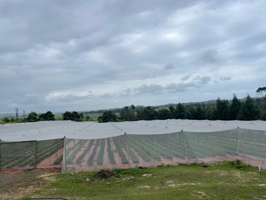 0 Bedroom Property for Sale in Fraser KwaZulu-Natal