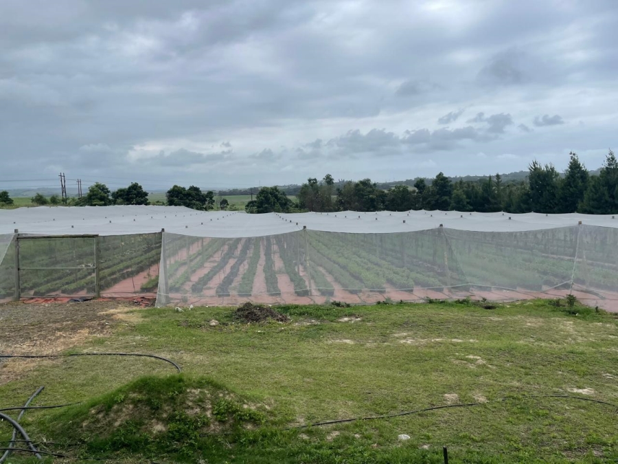 0 Bedroom Property for Sale in Fraser KwaZulu-Natal