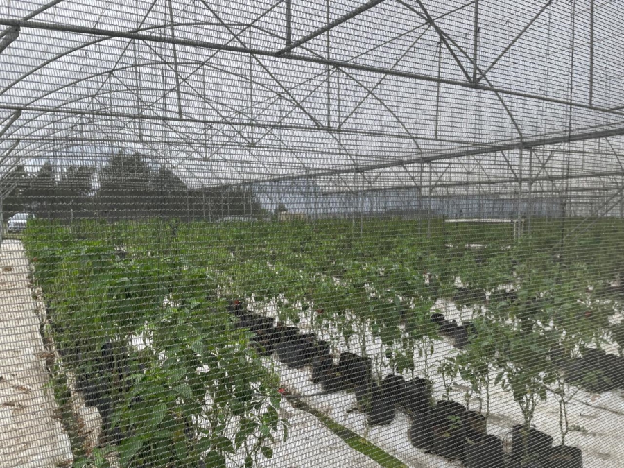 0 Bedroom Property for Sale in Fraser KwaZulu-Natal