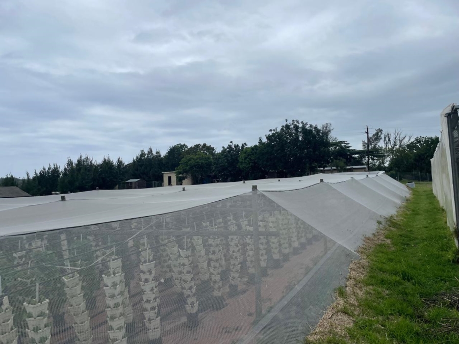 0 Bedroom Property for Sale in Fraser KwaZulu-Natal