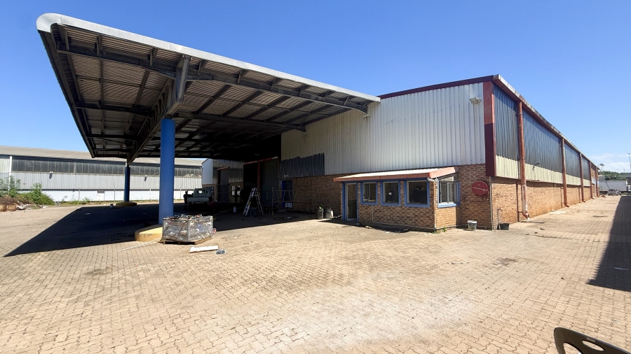 To Let commercial Property for Rent in Springfield KwaZulu-Natal