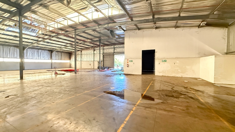 To Let commercial Property for Rent in Springfield KwaZulu-Natal