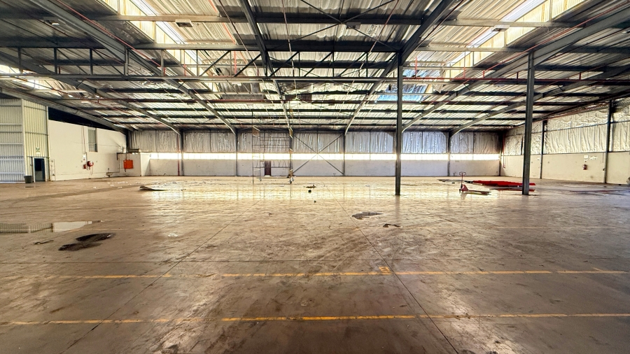 To Let commercial Property for Rent in Springfield KwaZulu-Natal