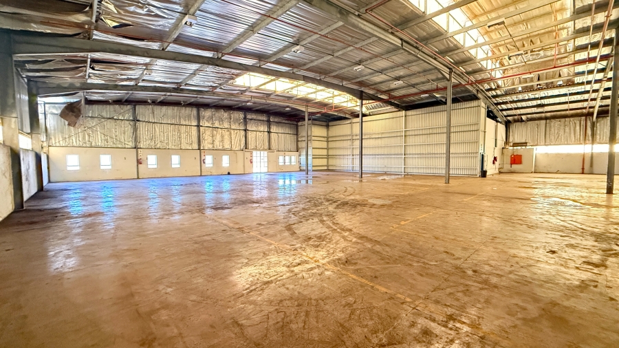 To Let commercial Property for Rent in Springfield KwaZulu-Natal