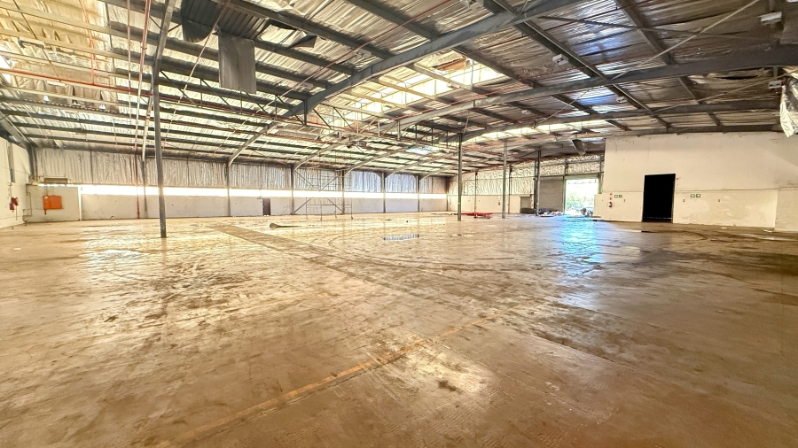 To Let commercial Property for Rent in Springfield KwaZulu-Natal