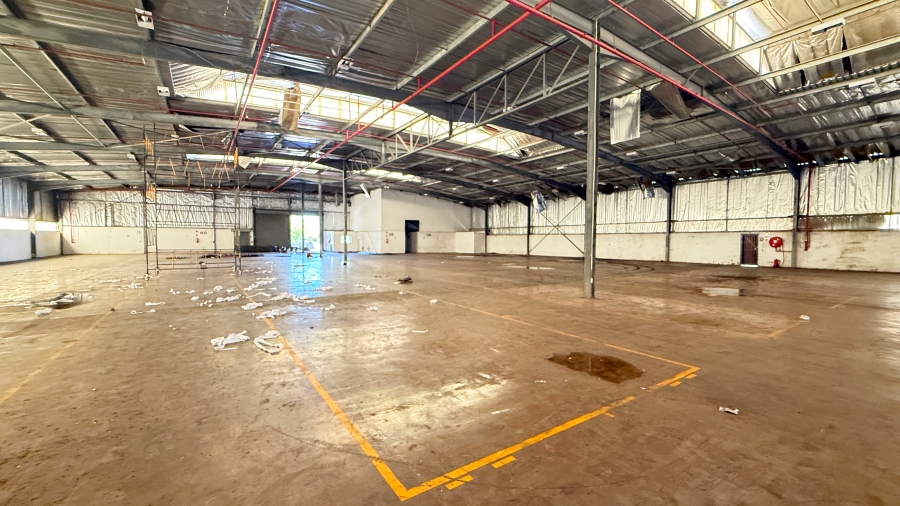 To Let commercial Property for Rent in Springfield KwaZulu-Natal