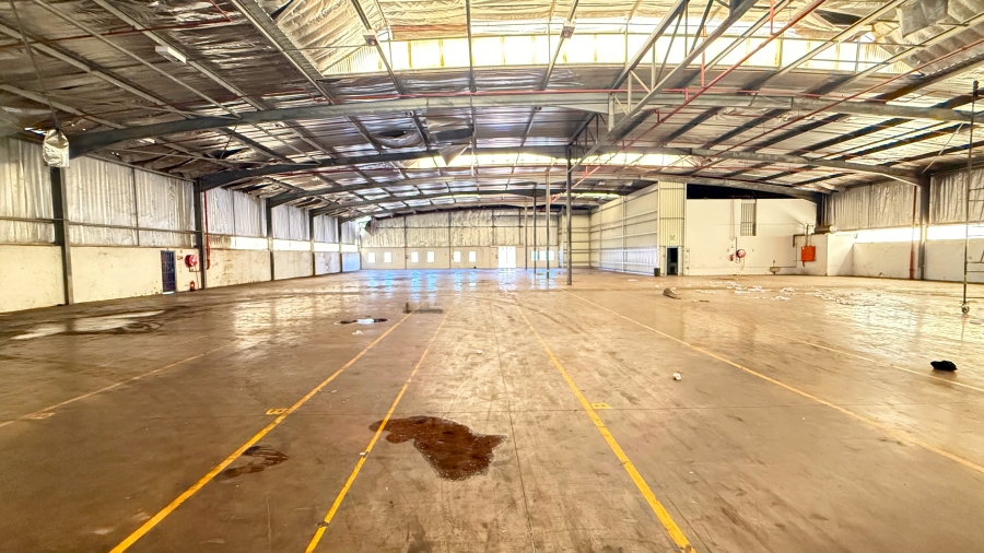 To Let commercial Property for Rent in Springfield KwaZulu-Natal