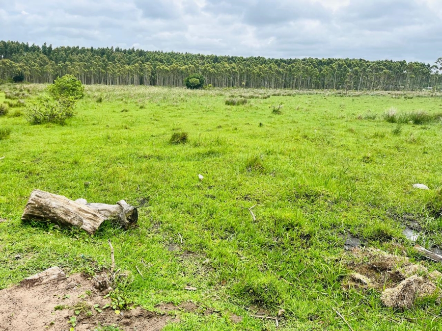 0 Bedroom Property for Sale in Port Dunford KwaZulu-Natal