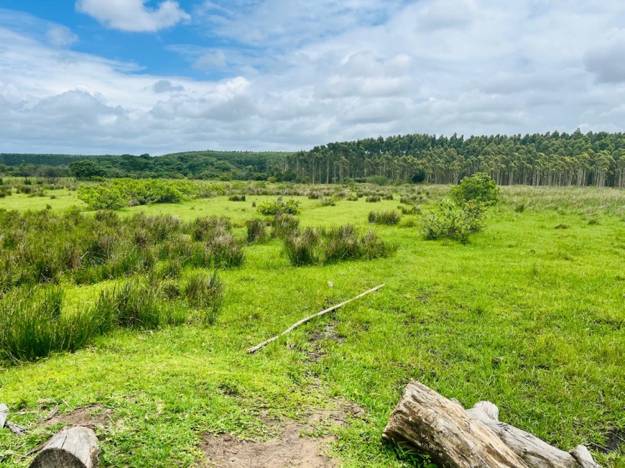 0 Bedroom Property for Sale in Port Dunford KwaZulu-Natal