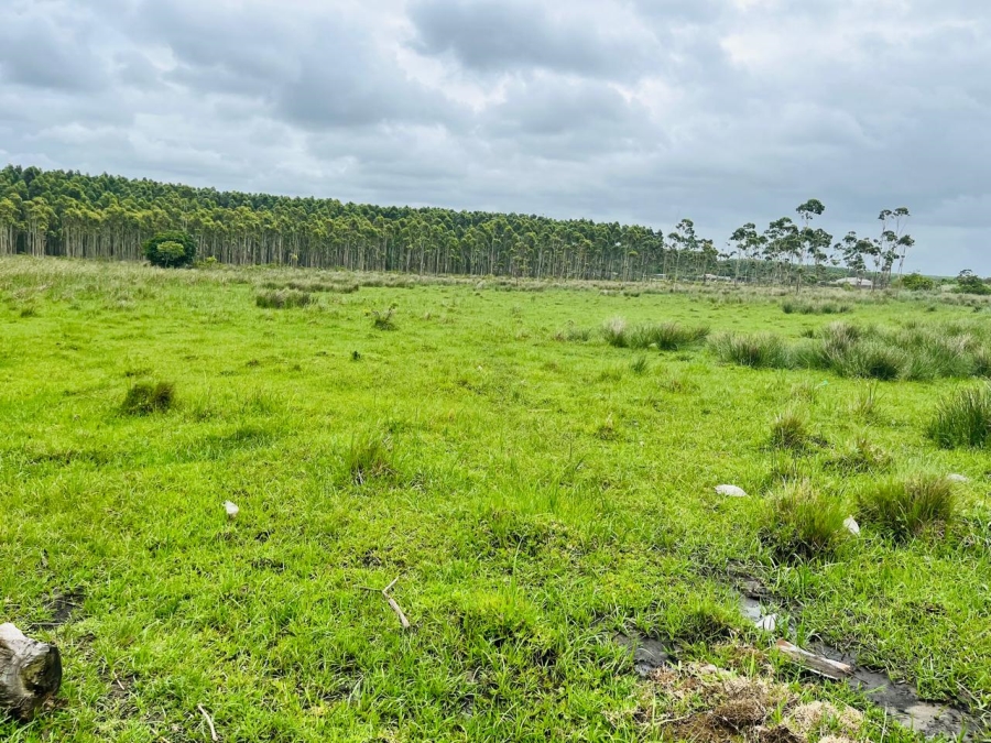 0 Bedroom Property for Sale in Port Dunford KwaZulu-Natal