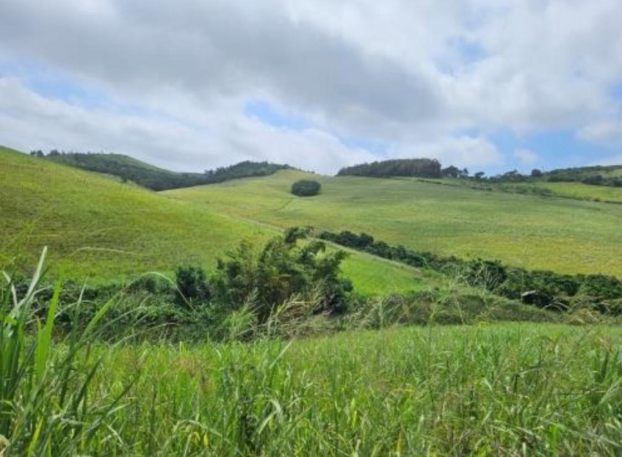 0 Bedroom Property for Sale in Empangeni Rural KwaZulu-Natal