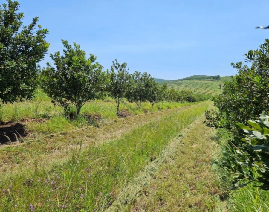 0 Bedroom Property for Sale in Empangeni Rural KwaZulu-Natal