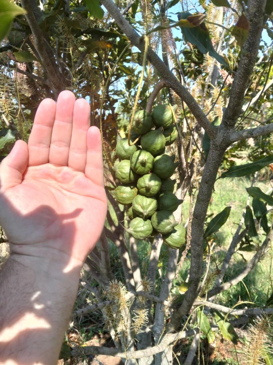 0 Bedroom Property for Sale in Empangeni Rural KwaZulu-Natal