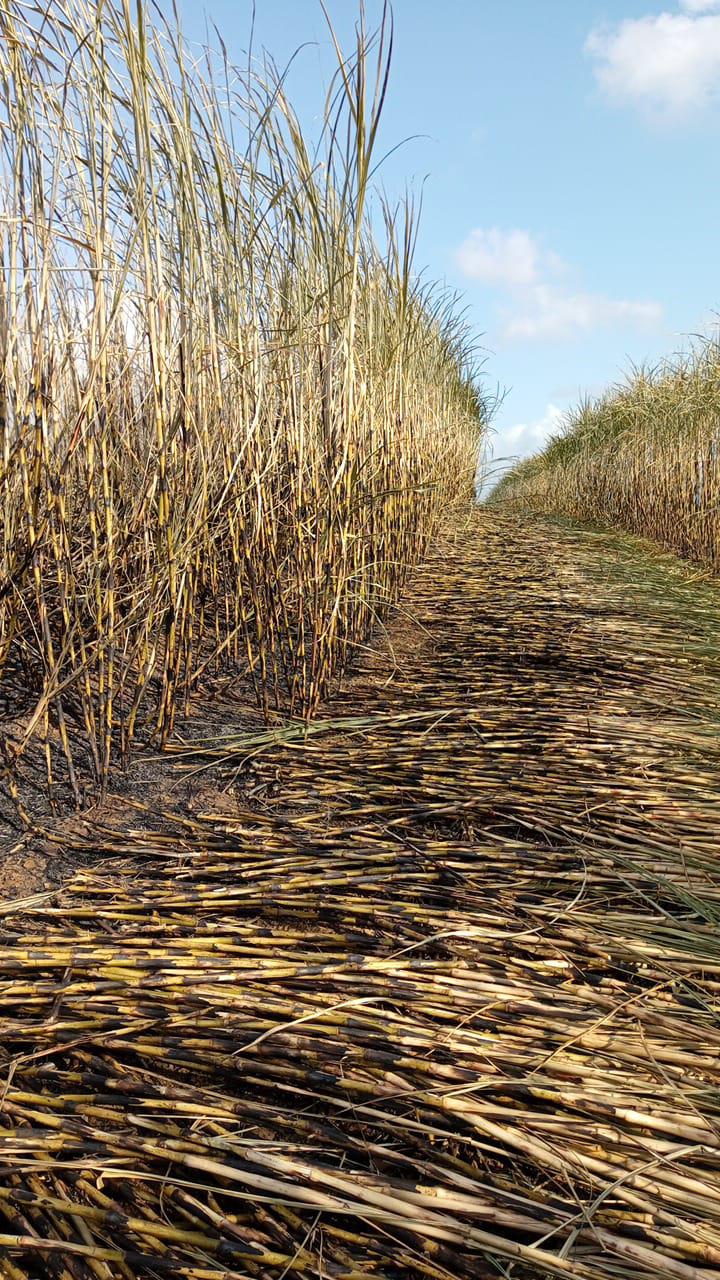 0 Bedroom Property for Sale in Empangeni Rural KwaZulu-Natal