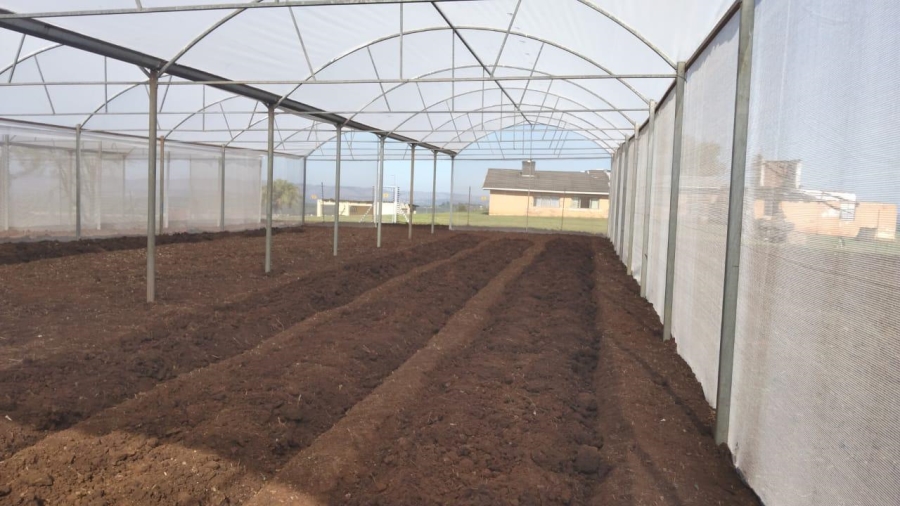 0 Bedroom Property for Sale in Empangeni Rural KwaZulu-Natal