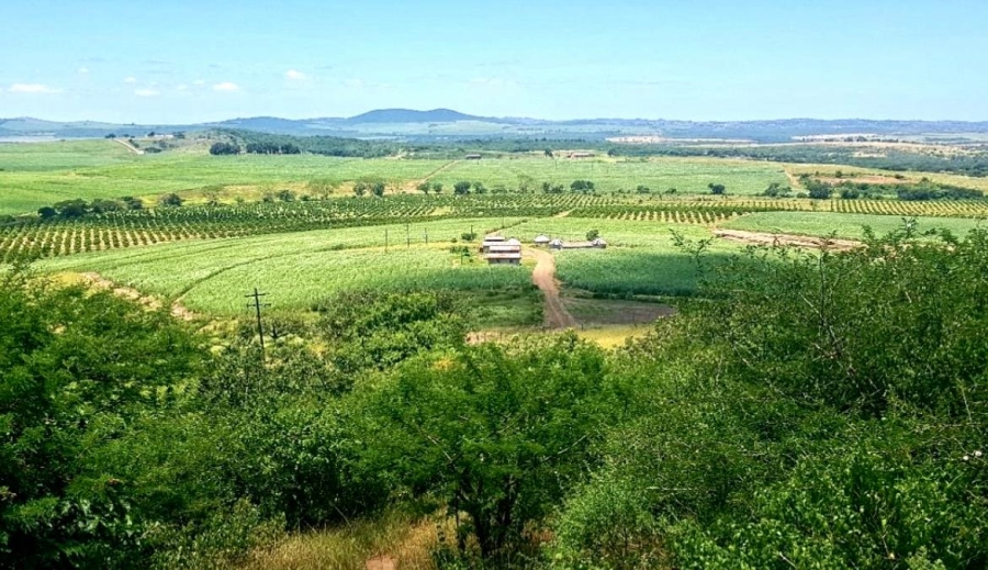 0 Bedroom Property for Sale in Empangeni Rural KwaZulu-Natal