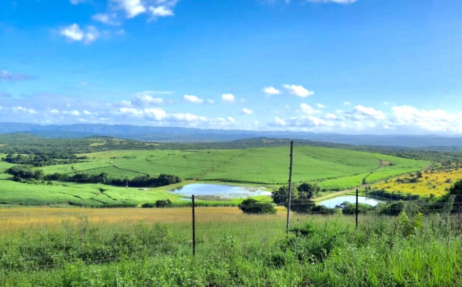 0 Bedroom Property for Sale in Empangeni Rural KwaZulu-Natal