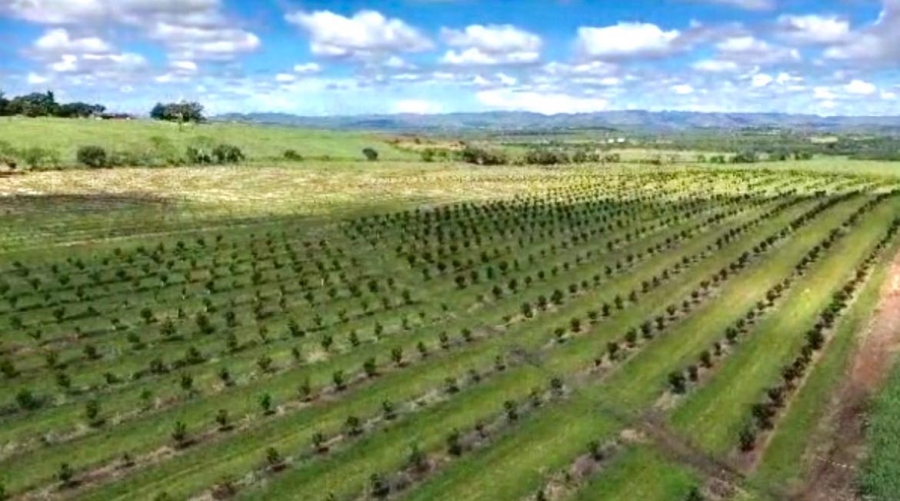 0 Bedroom Property for Sale in Empangeni Rural KwaZulu-Natal