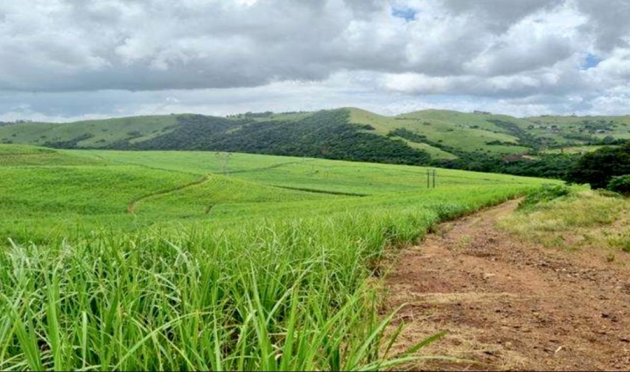 0 Bedroom Property for Sale in Empangeni Rural KwaZulu-Natal