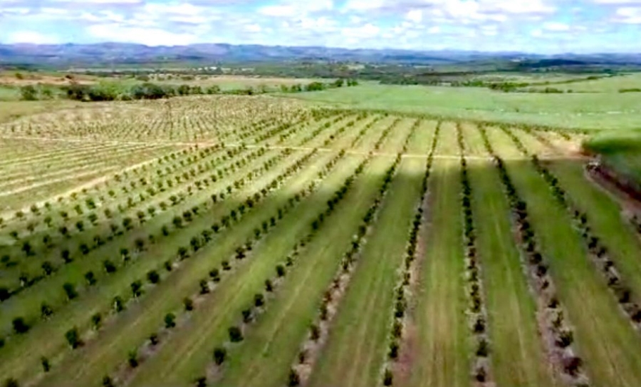 0 Bedroom Property for Sale in Empangeni Rural KwaZulu-Natal