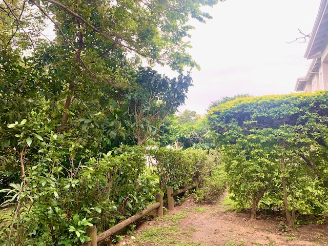 2 Bedroom Property for Sale in Shortens Country Estate KwaZulu-Natal