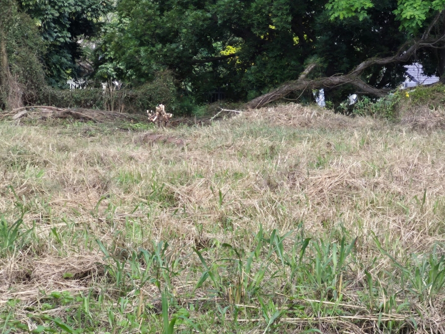 0 Bedroom Property for Sale in Pelham KwaZulu-Natal