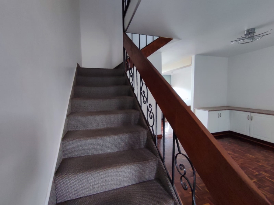 To Let 3 Bedroom Property for Rent in Musgrave KwaZulu-Natal