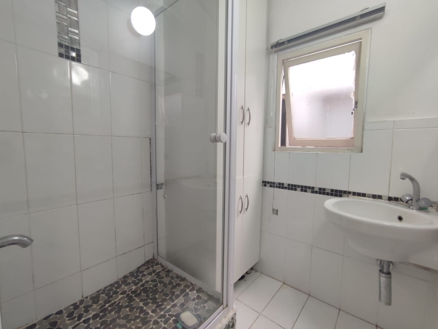 To Let 3 Bedroom Property for Rent in Musgrave KwaZulu-Natal