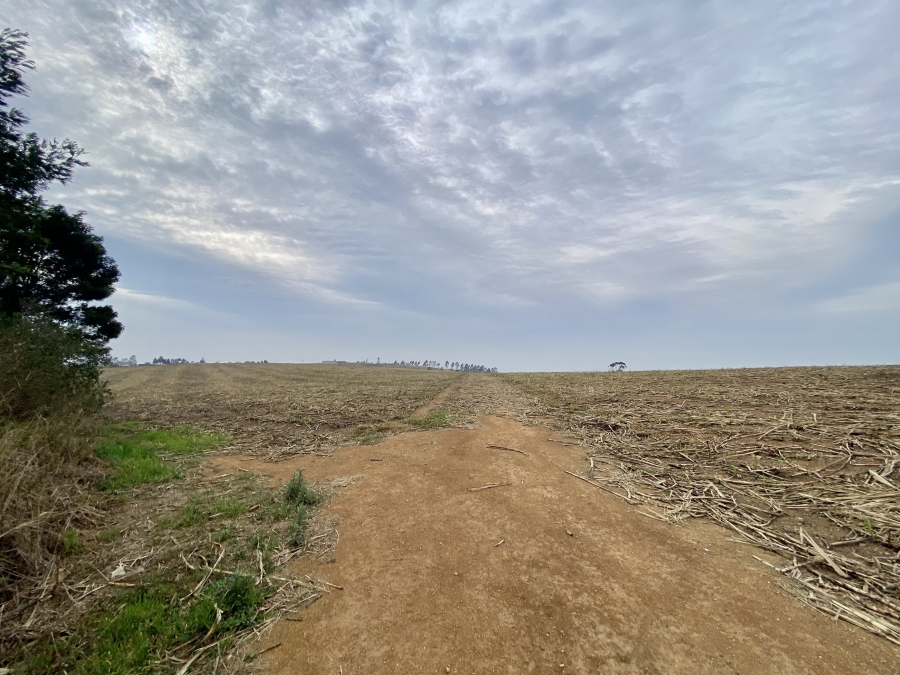 4 Bedroom Property for Sale in Thornville KwaZulu-Natal