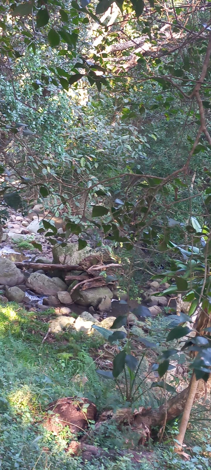 0 Bedroom Property for Sale in Ramsgate KwaZulu-Natal