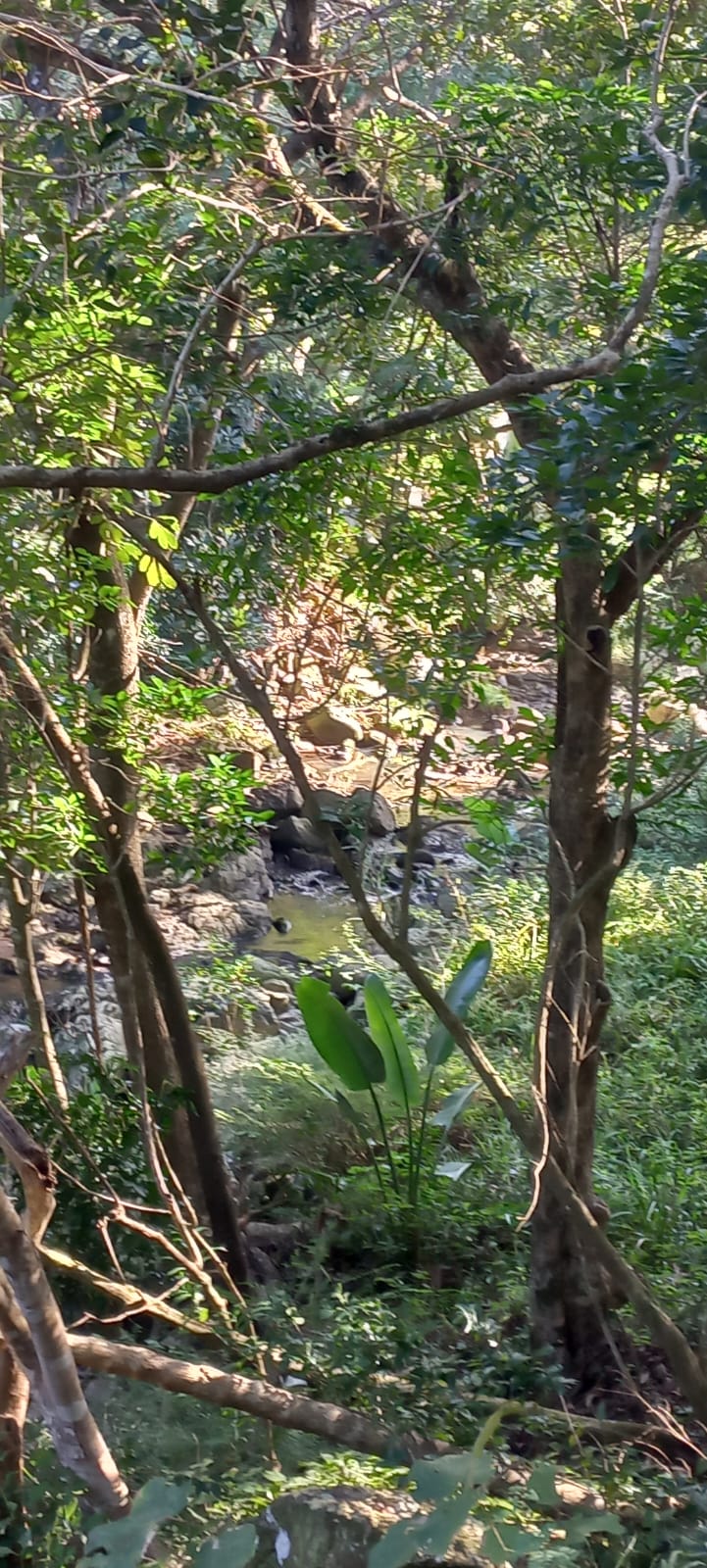 0 Bedroom Property for Sale in Ramsgate KwaZulu-Natal