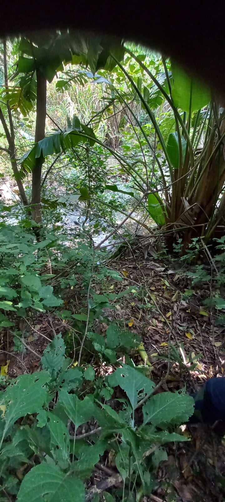 0 Bedroom Property for Sale in Ramsgate KwaZulu-Natal