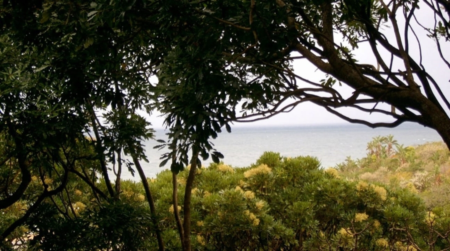 0 Bedroom Property for Sale in Ramsgate KwaZulu-Natal