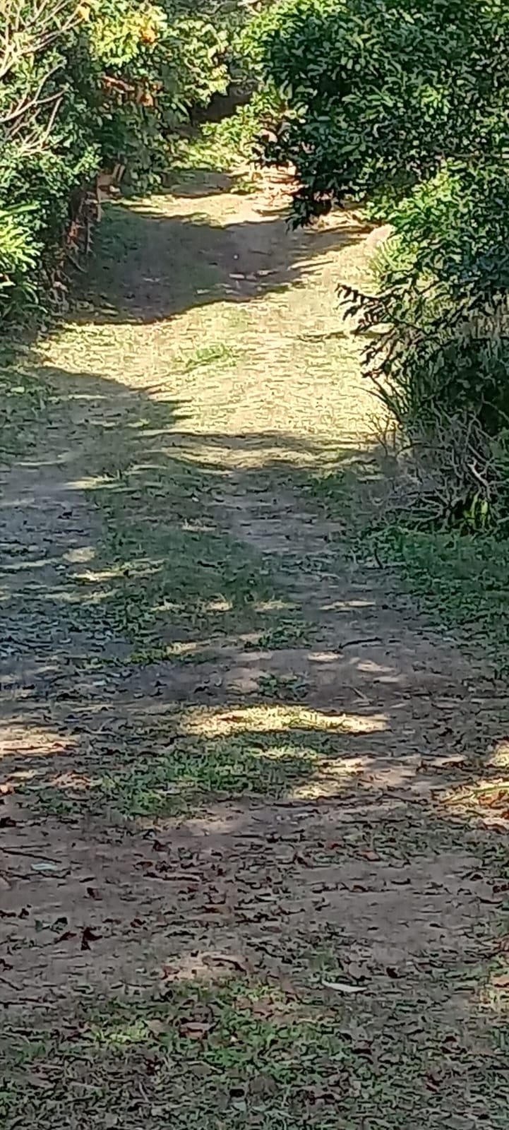 0 Bedroom Property for Sale in Ramsgate KwaZulu-Natal