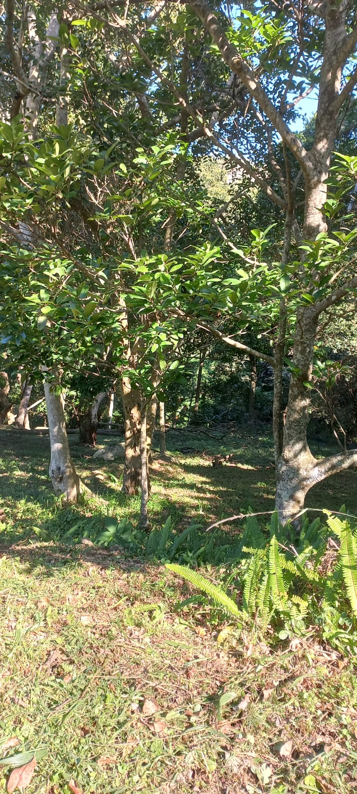 0 Bedroom Property for Sale in Ramsgate KwaZulu-Natal