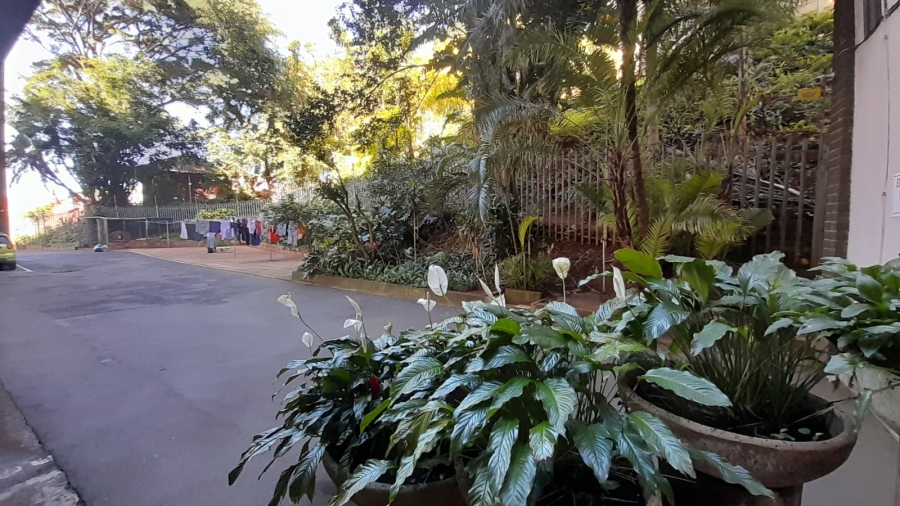 2 Bedroom Property for Sale in Musgrave KwaZulu-Natal