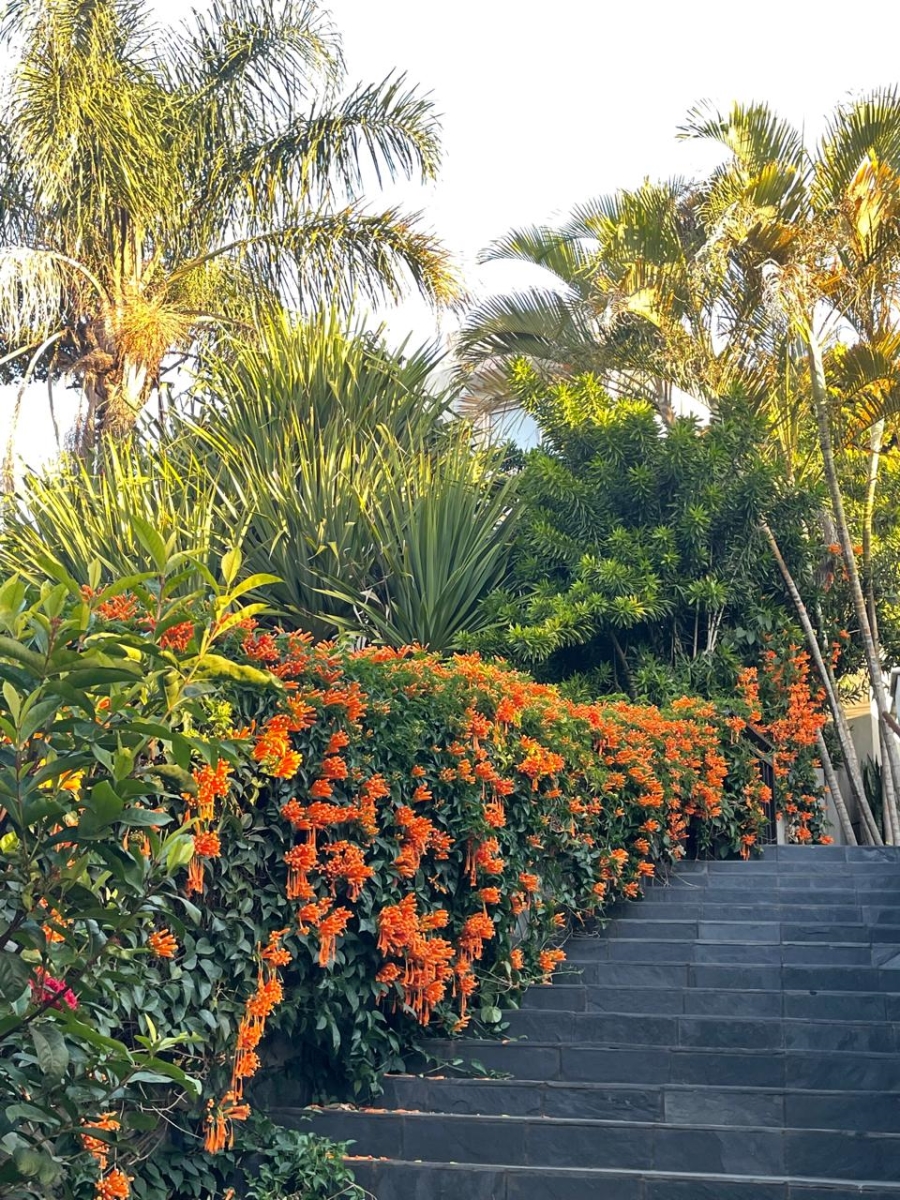 4 Bedroom Property for Sale in Ballito Central KwaZulu-Natal