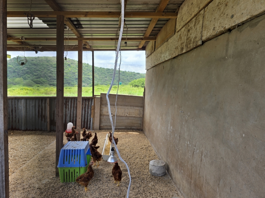 0 Bedroom Property for Sale in Empangeni Rural KwaZulu-Natal