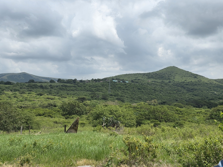 0 Bedroom Property for Sale in Empangeni Rural KwaZulu-Natal