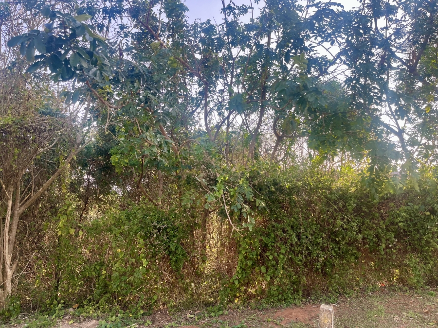 0 Bedroom Property for Sale in Ballito Central KwaZulu-Natal