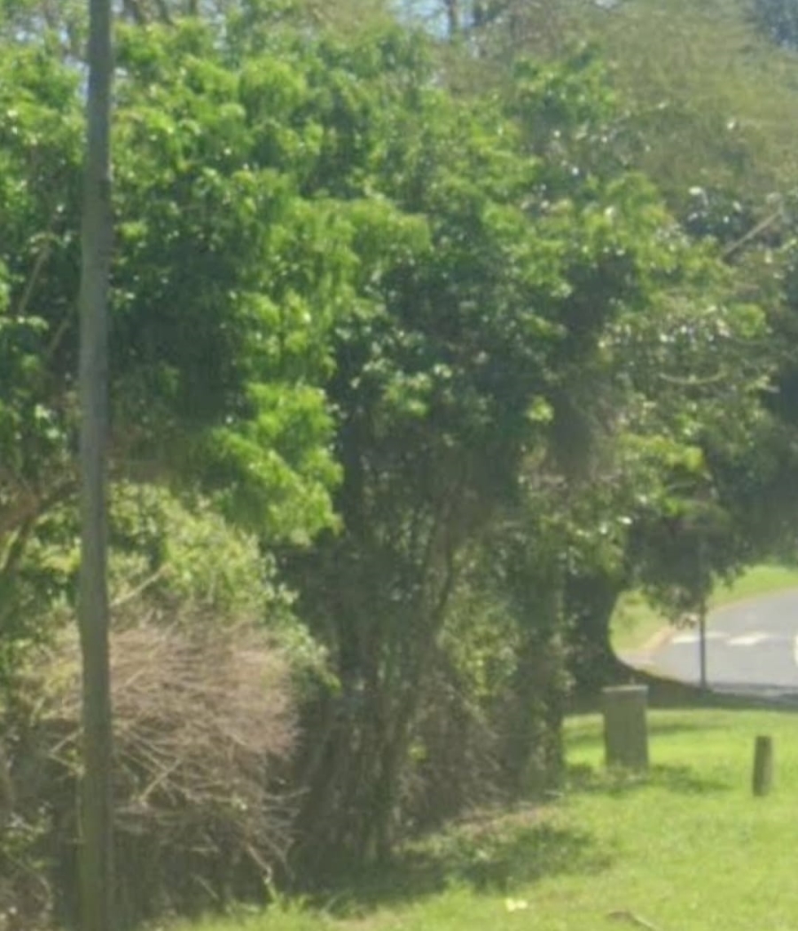 0 Bedroom Property for Sale in Ballito Central KwaZulu-Natal