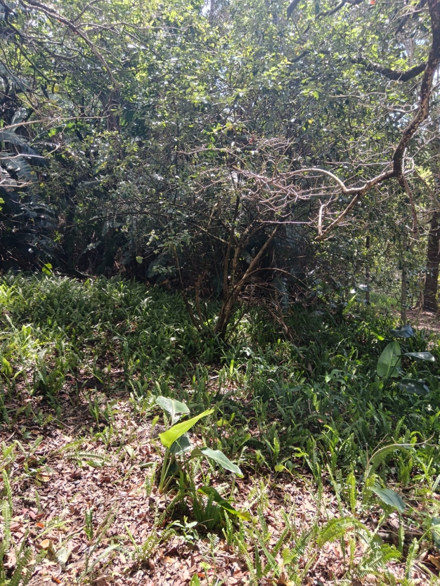 0 Bedroom Property for Sale in Southbroom KwaZulu-Natal