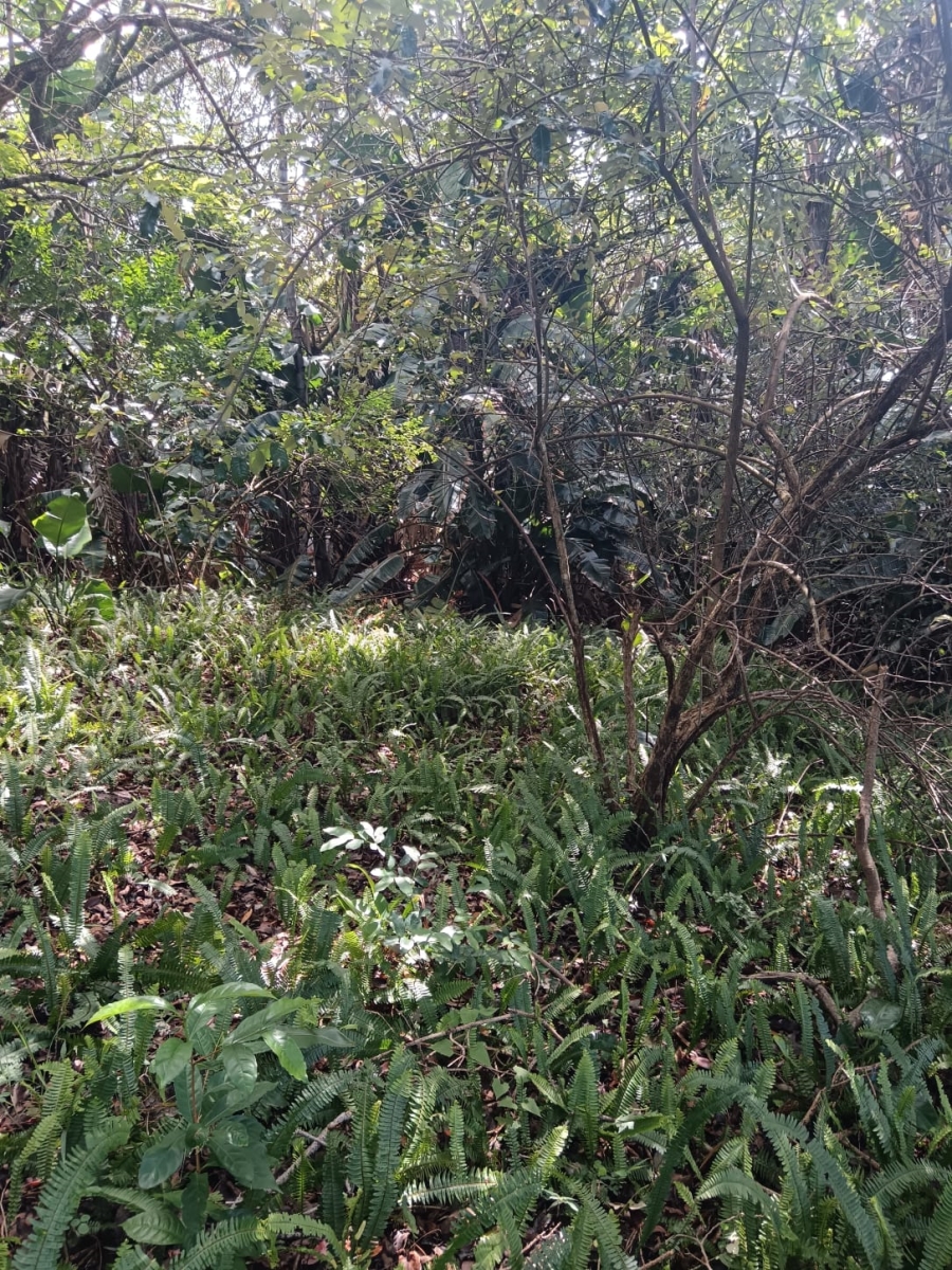 0 Bedroom Property for Sale in Southbroom KwaZulu-Natal