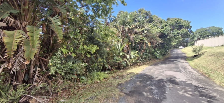 0 Bedroom Property for Sale in Southbroom KwaZulu-Natal