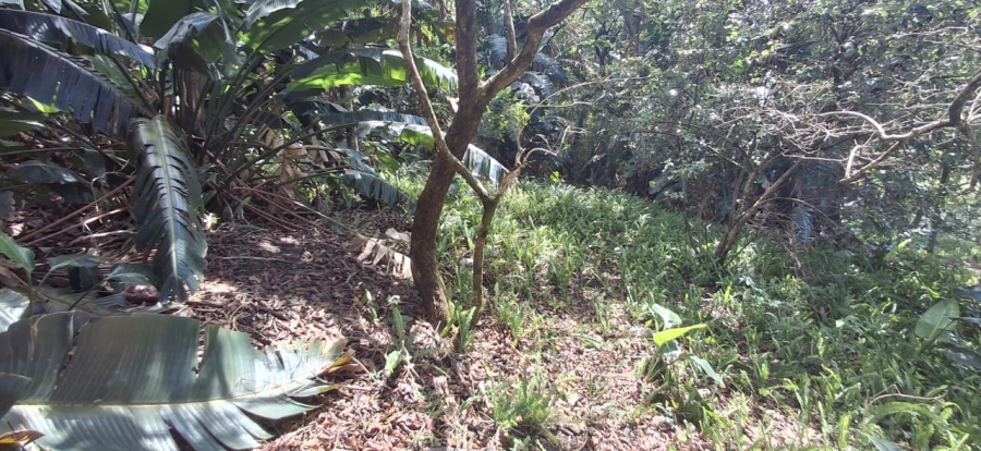 0 Bedroom Property for Sale in Southbroom KwaZulu-Natal