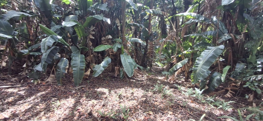 0 Bedroom Property for Sale in Southbroom KwaZulu-Natal