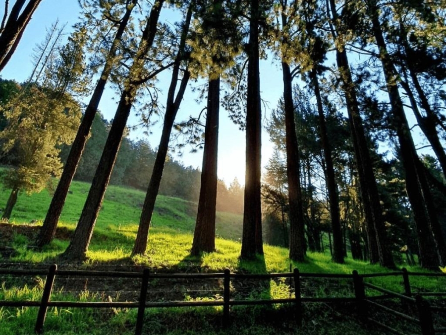 0 Bedroom Property for Sale in Nottingham Road KwaZulu-Natal