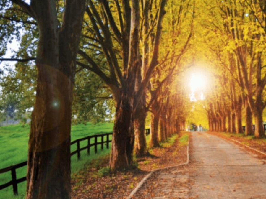 0 Bedroom Property for Sale in Nottingham Road KwaZulu-Natal