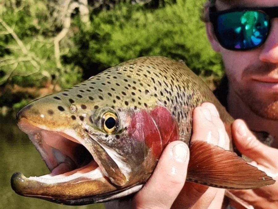 0 Bedroom Property for Sale in Nottingham Road KwaZulu-Natal