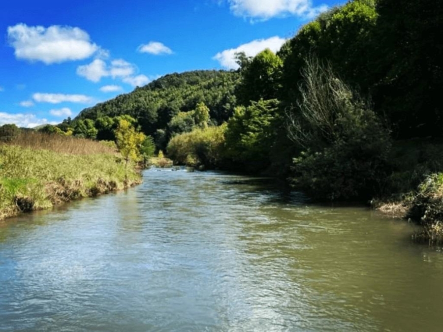 0 Bedroom Property for Sale in Nottingham Road KwaZulu-Natal